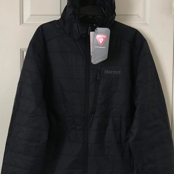 marmot colden primaloft